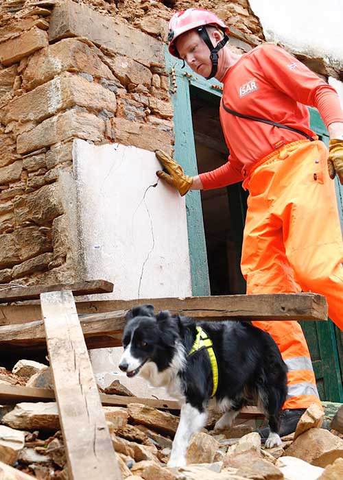 Rescue worker with dog looking for survivors after natural disaster