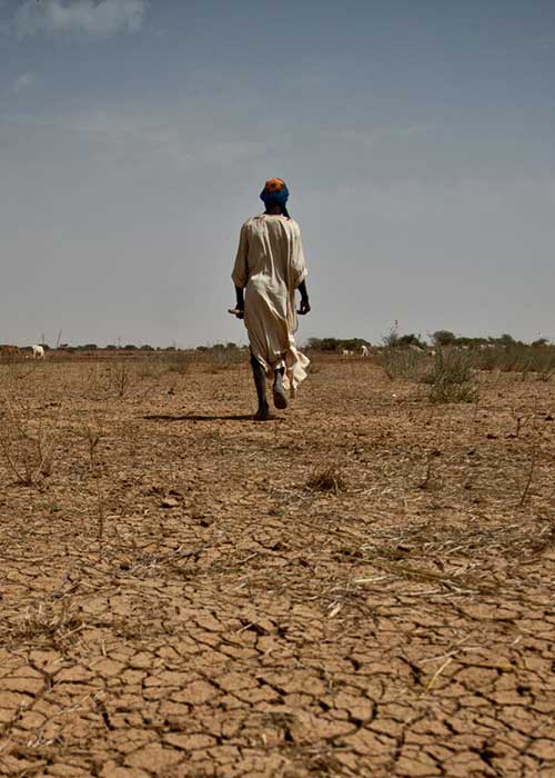 Woman walking away from the camera on very dry soil